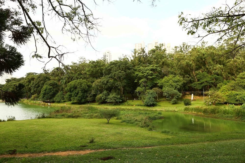 Parque Aclimação